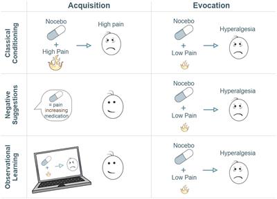 How Negative Experience Influences the Brain: A Comprehensive Review of the Neurobiological Underpinnings of Nocebo Hyperalgesia